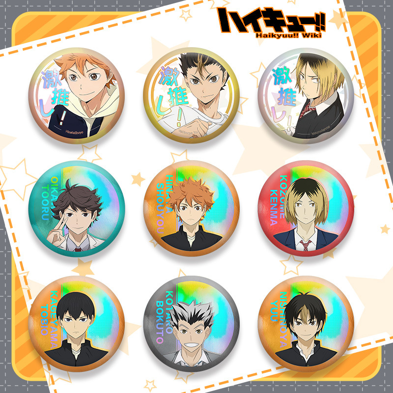 Haikyuu 201 Series Double Flas - огляд і ціна Anime Merchandise Haikyuu