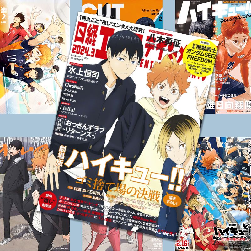 Haikyuu!! poster, anime-style  - огляд і ціна Anime Merchandise Haikyuu